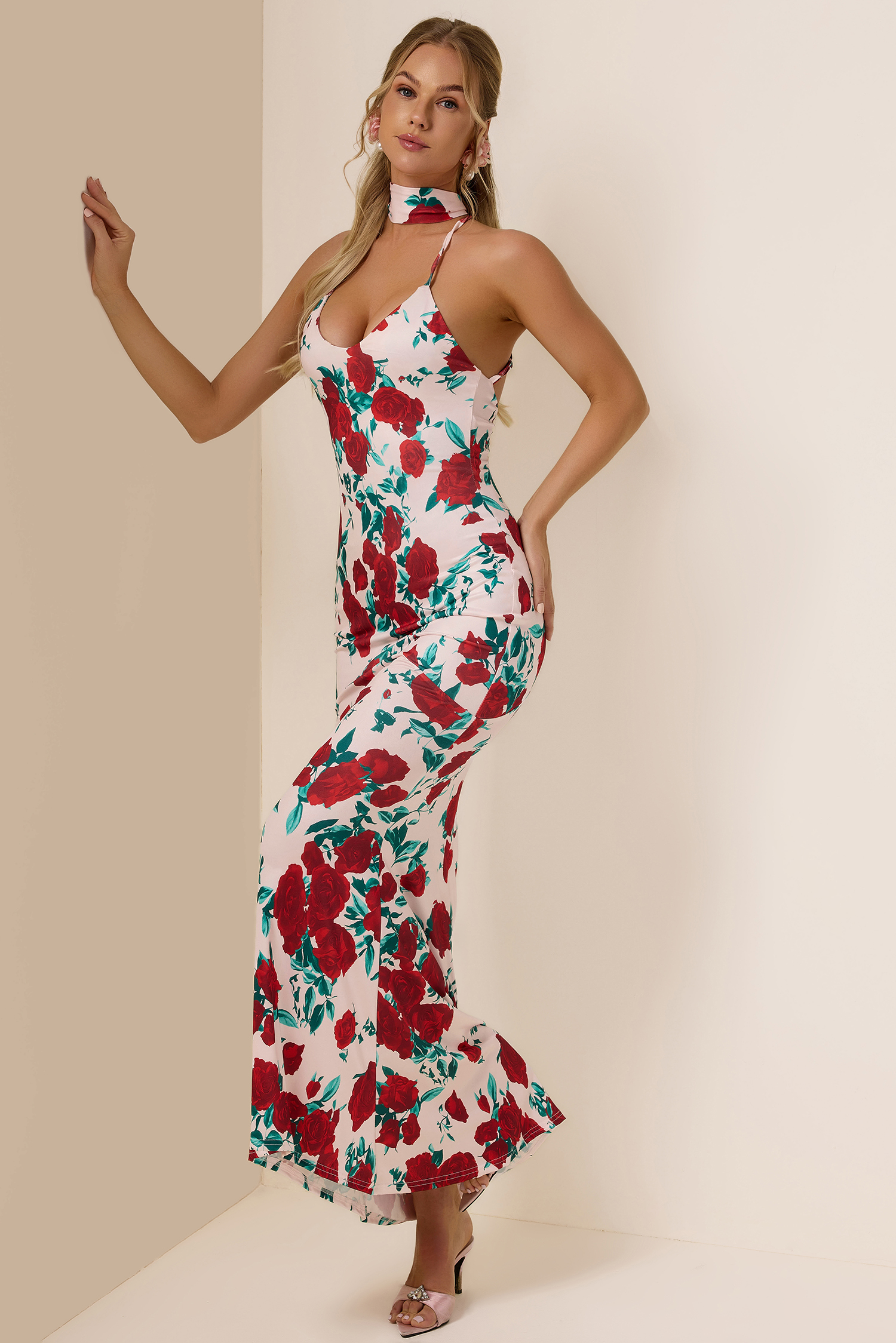 Chiffon Floral Plunge Maxi Dress