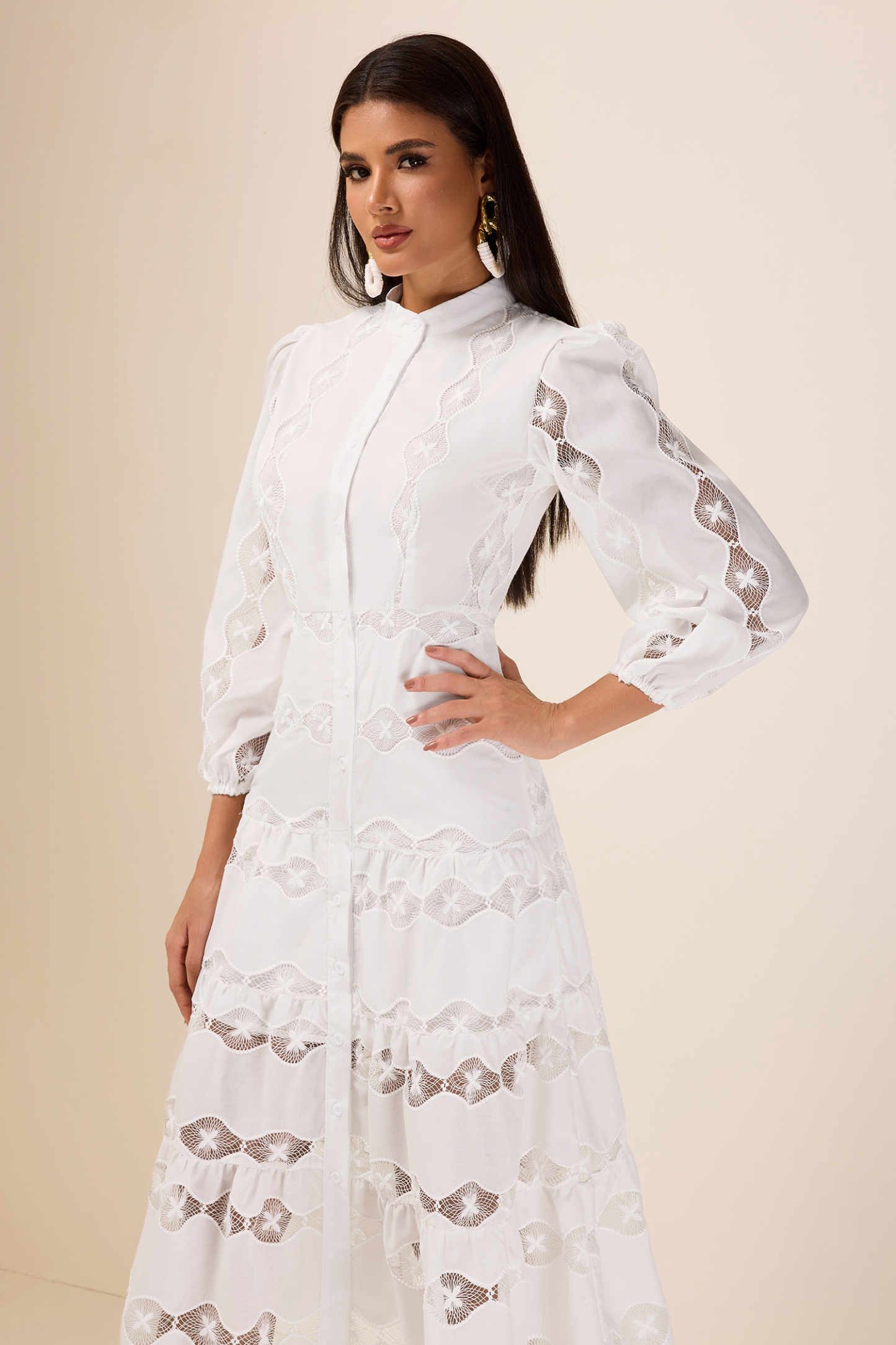 Embroidered Single Breasted Long Sleeve Midi Dress