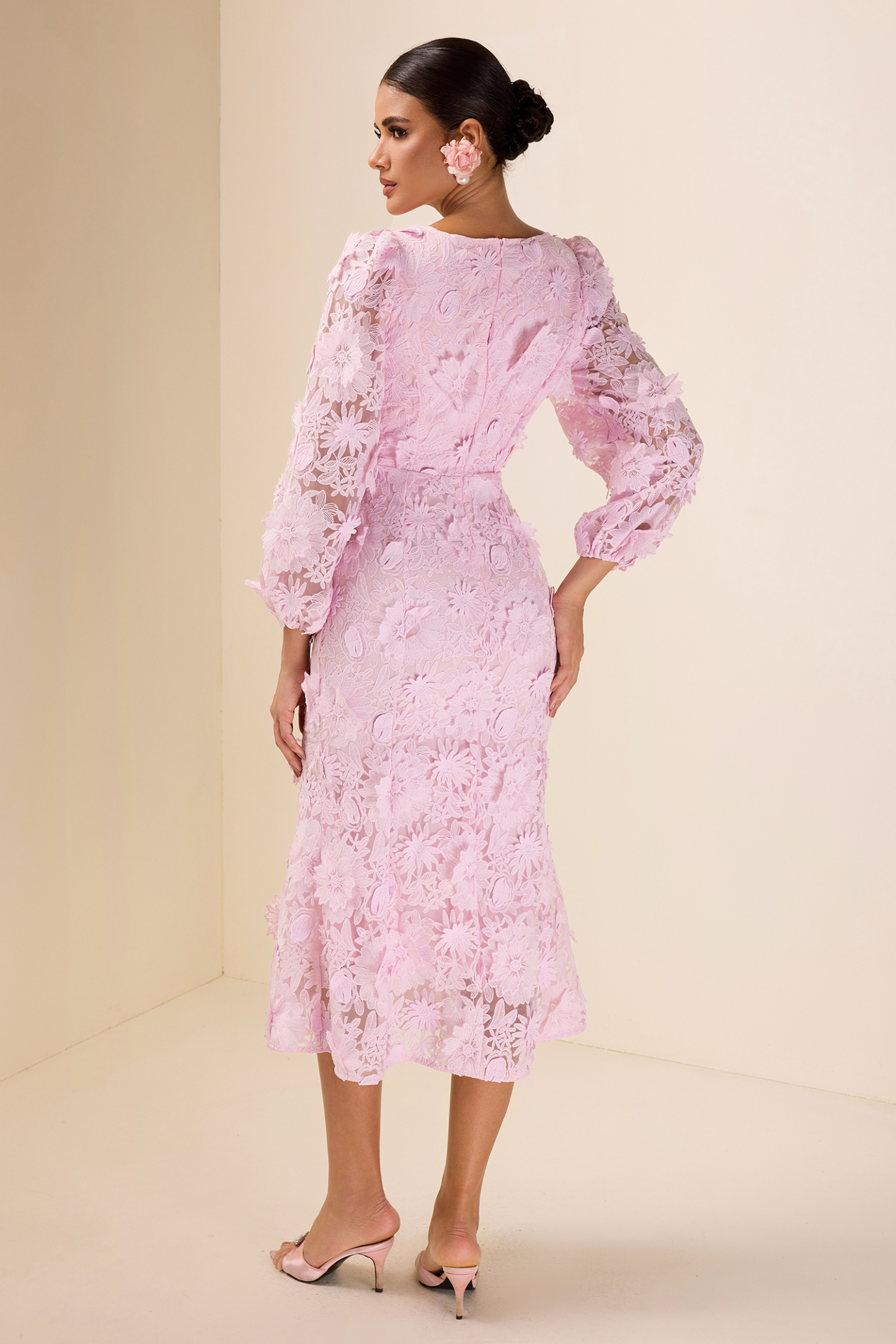 Embroidered Lace Long Sleeve Midi Dress