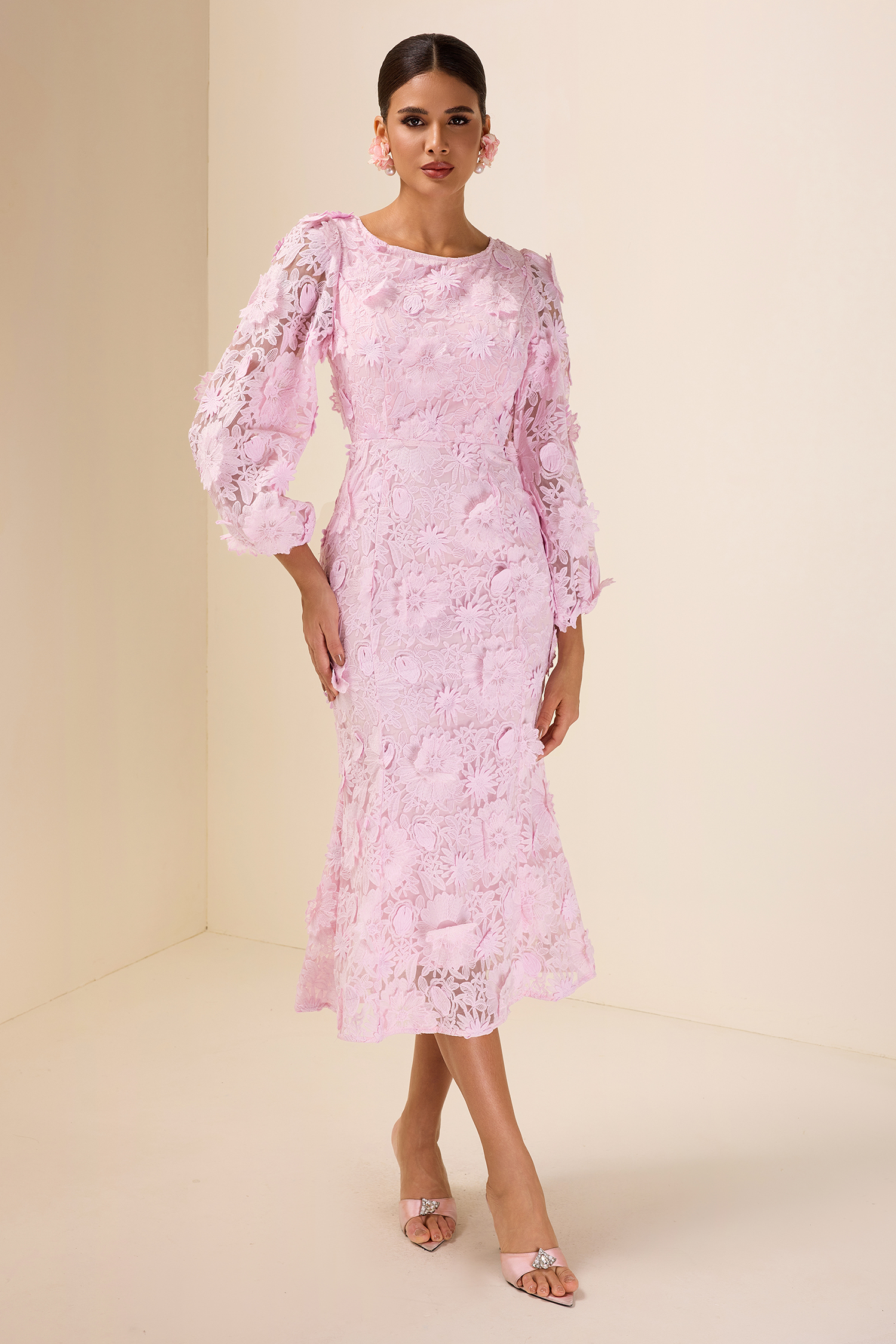 Embroidered Lace Long Sleeve Midi Dress