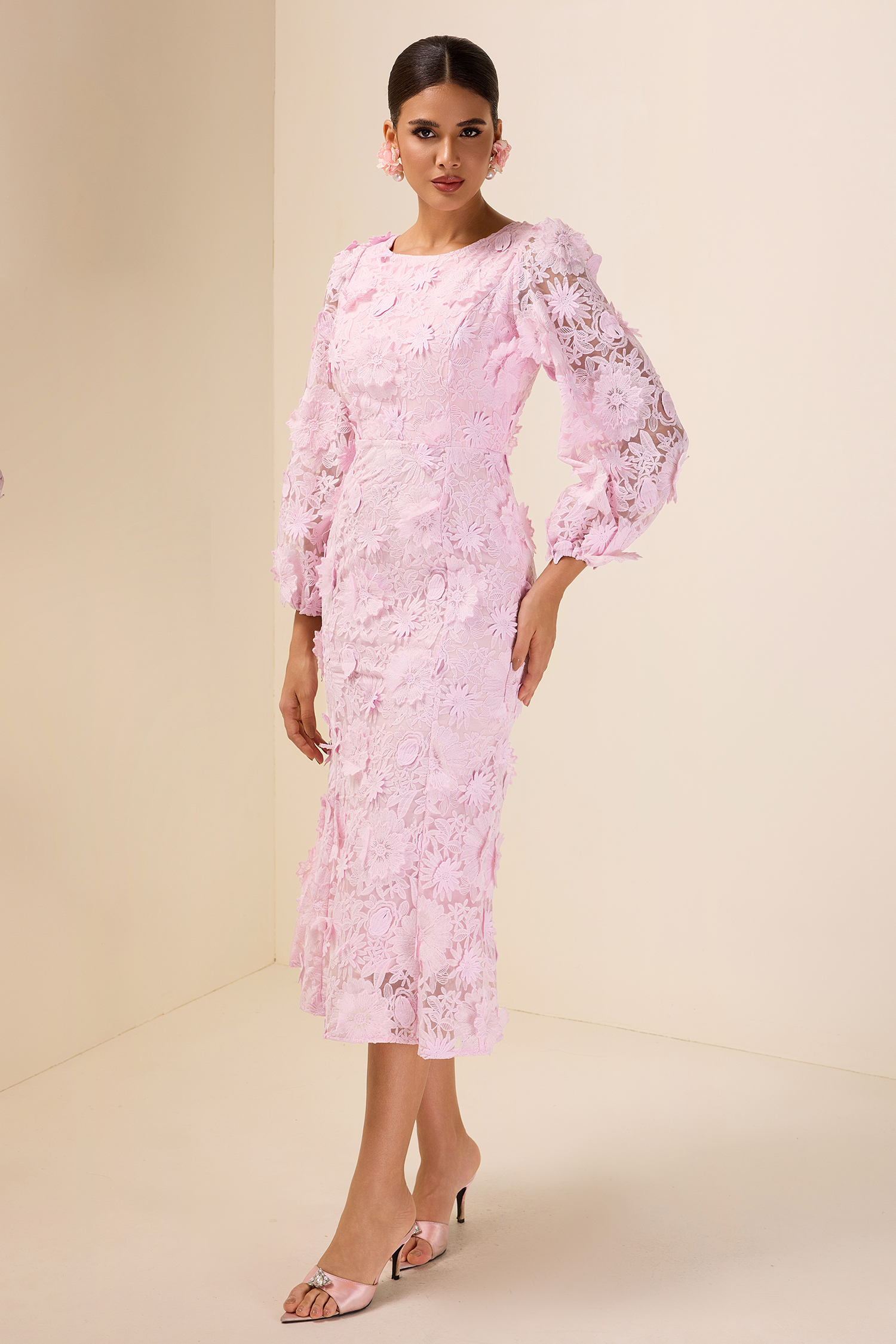 Embroidered Lace Long Sleeve Midi Dress