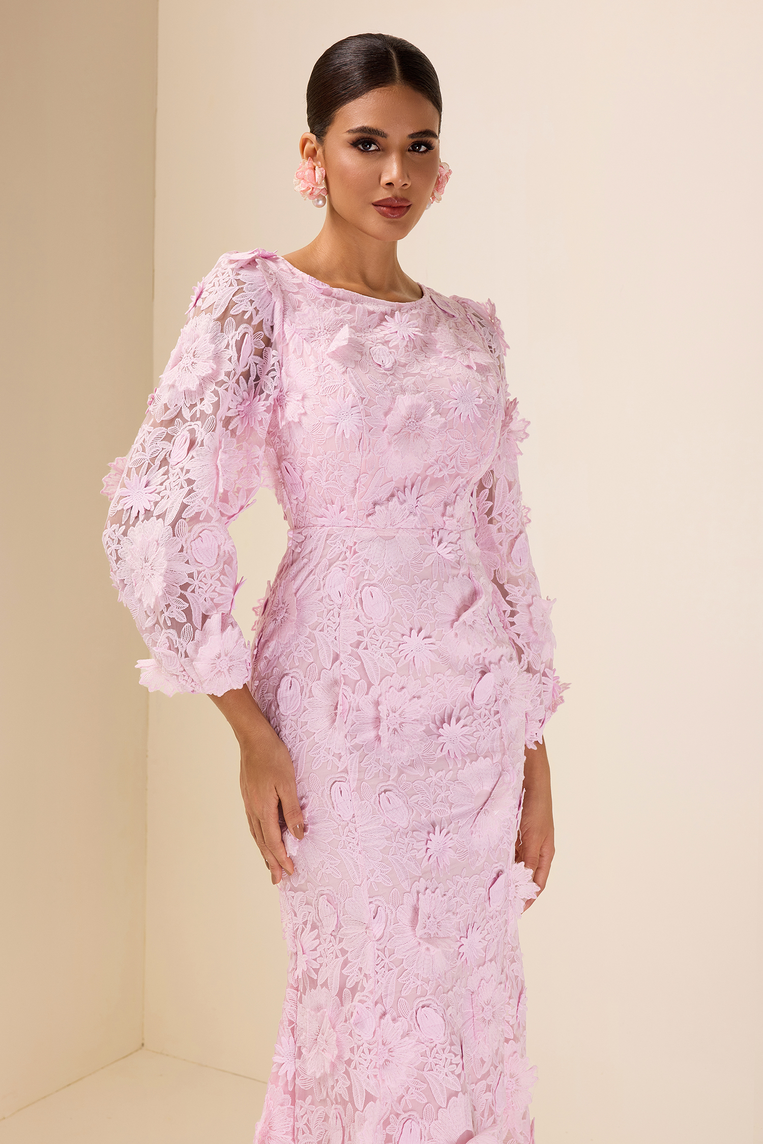 Embroidered Lace Long Sleeve Midi Dress