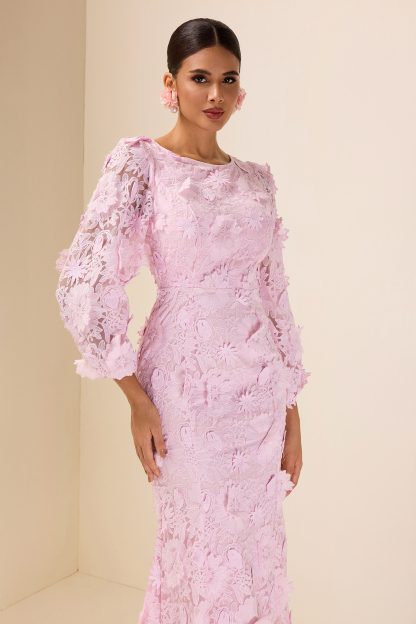 Embroidered Lace Long Sleeve Midi Dress