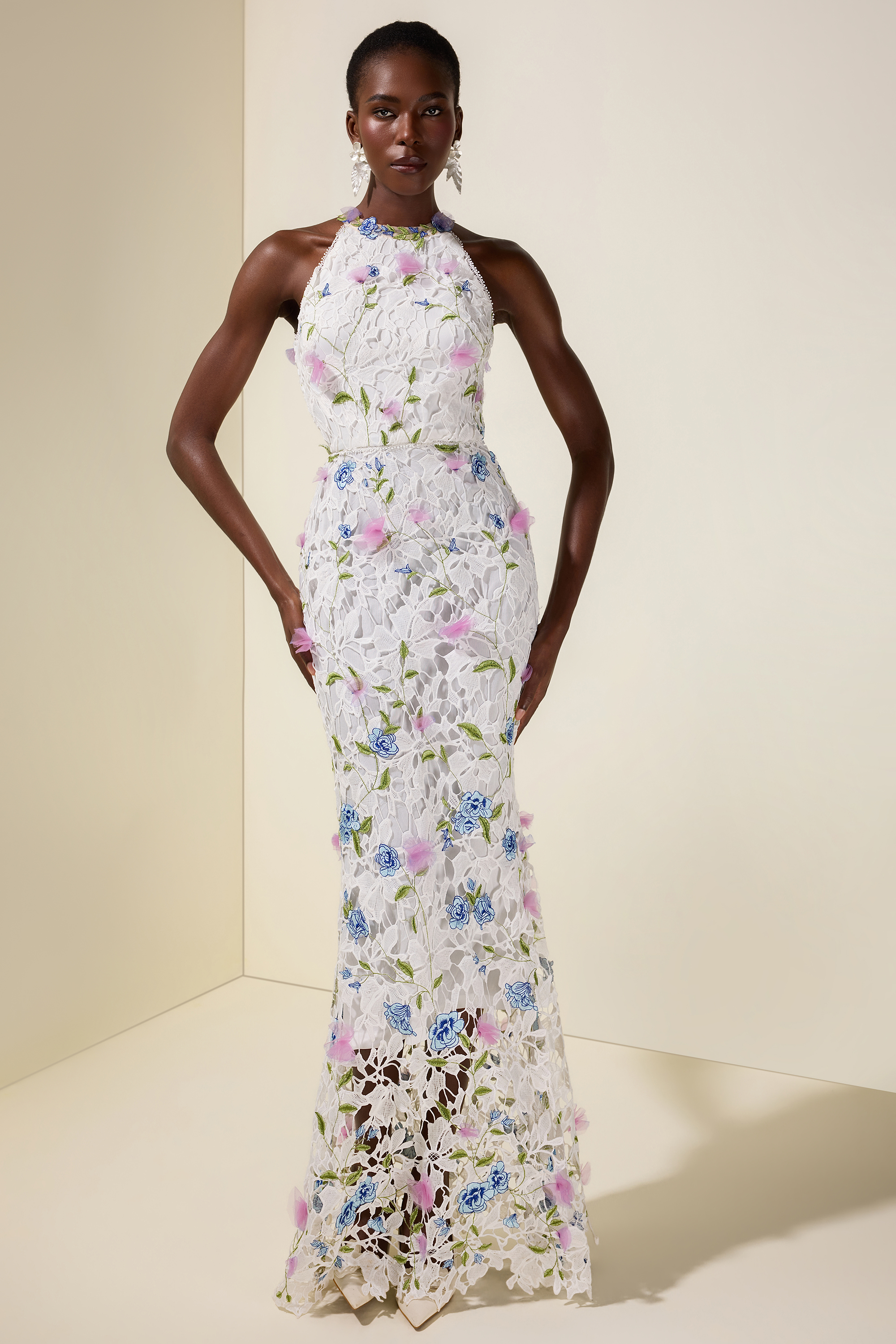 Lace Embroidered Sleeveless Maxi Dress