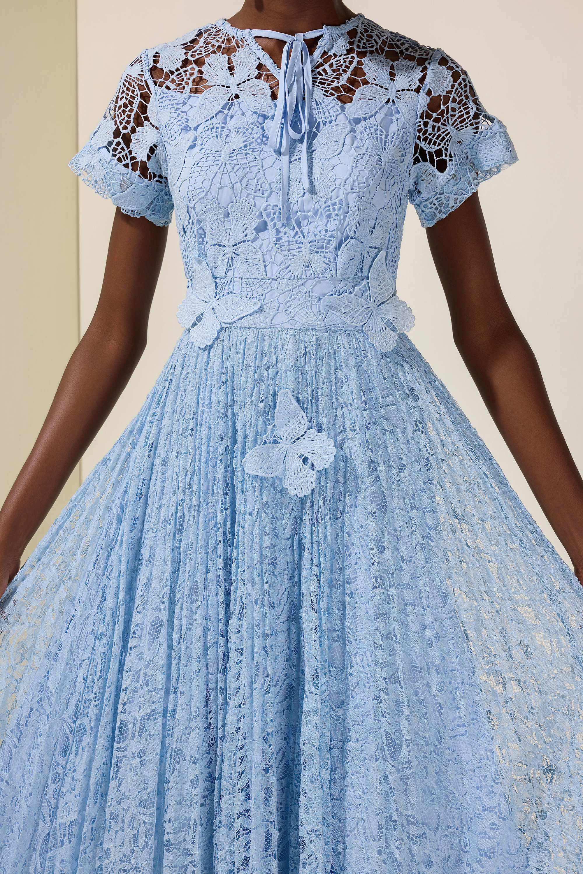 Lace Butterfly  Pleated Midi Dress