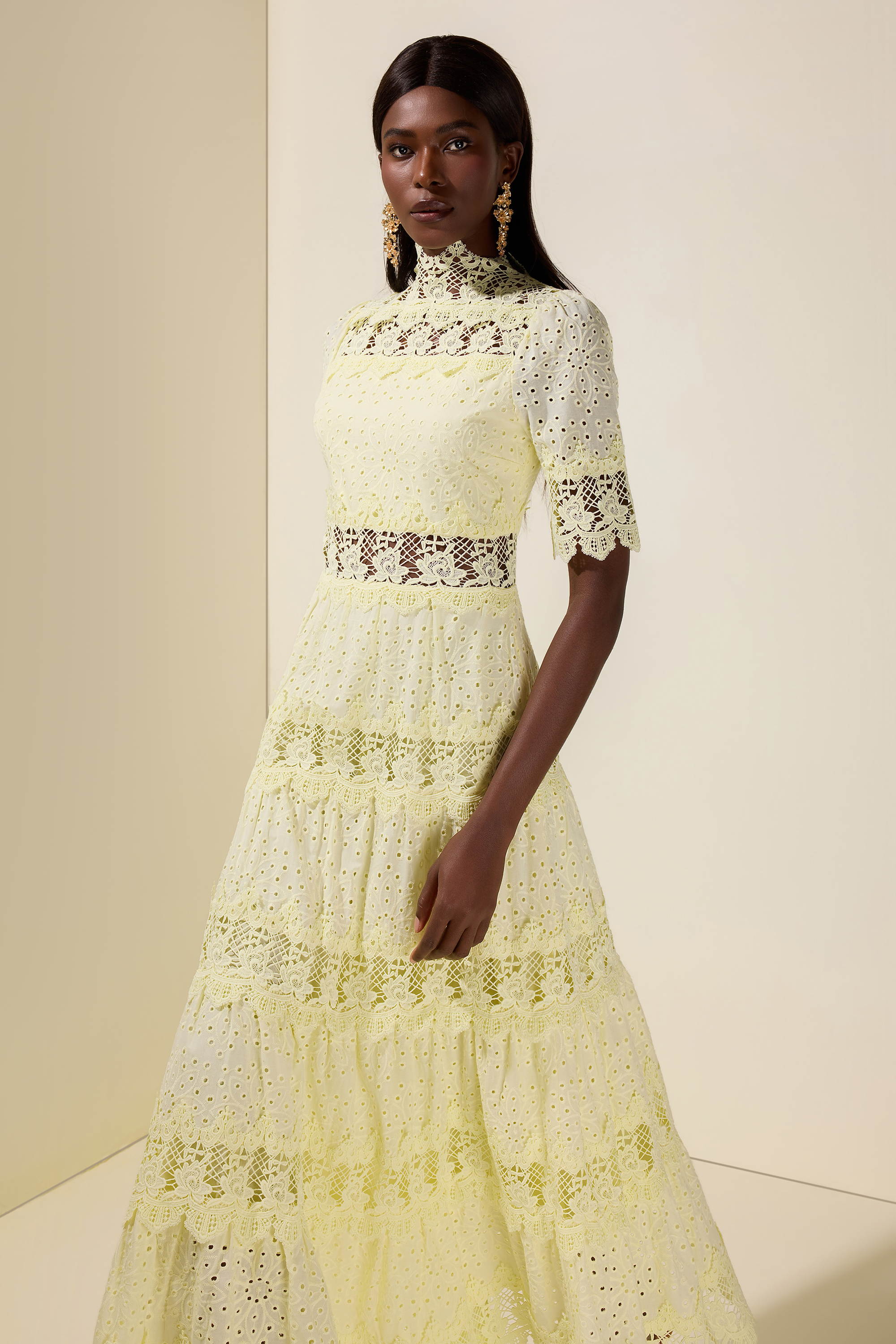 Lace Embroidered Stand Collar Midi Dress