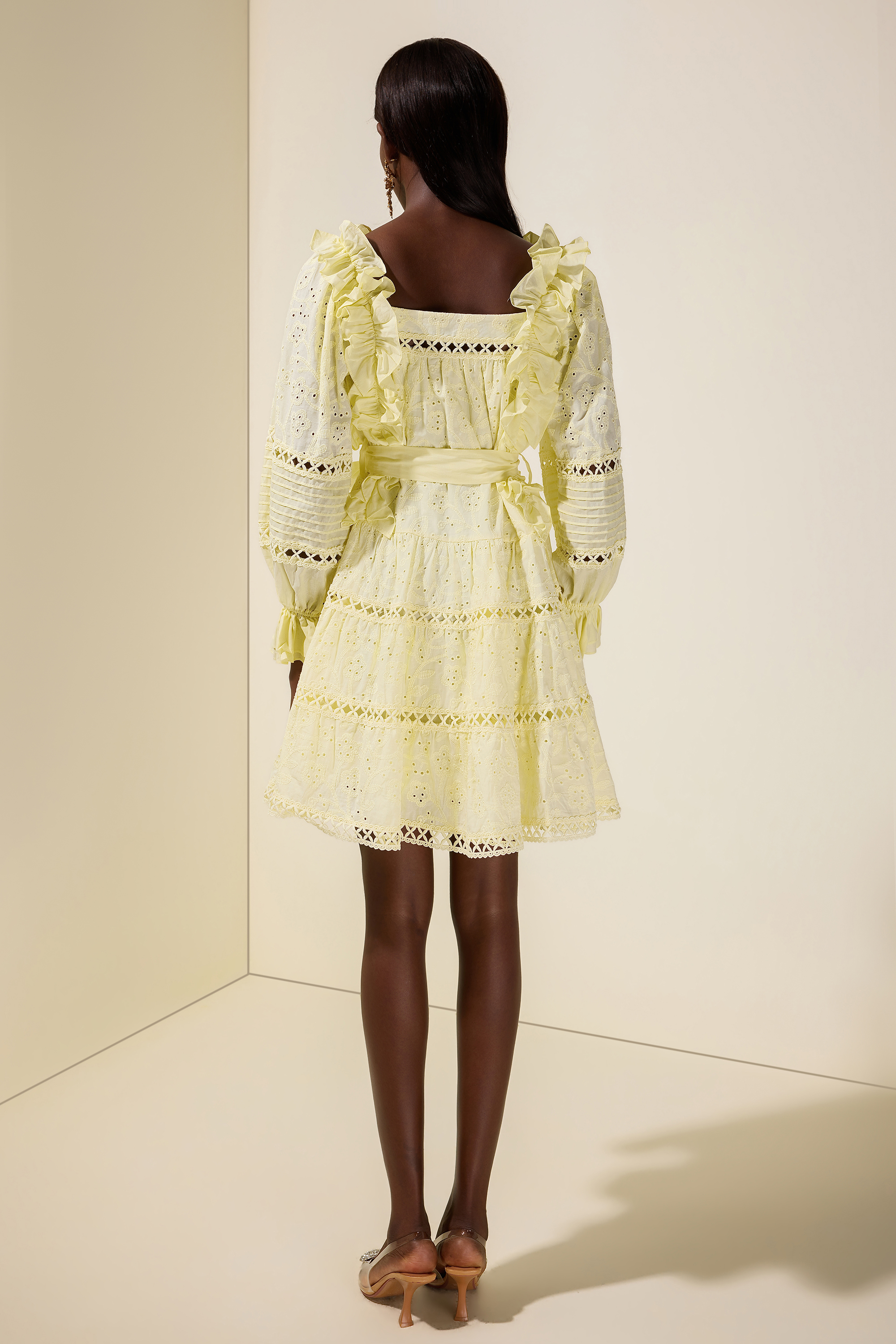 Solid Embroidered Ruffle Mini Dress