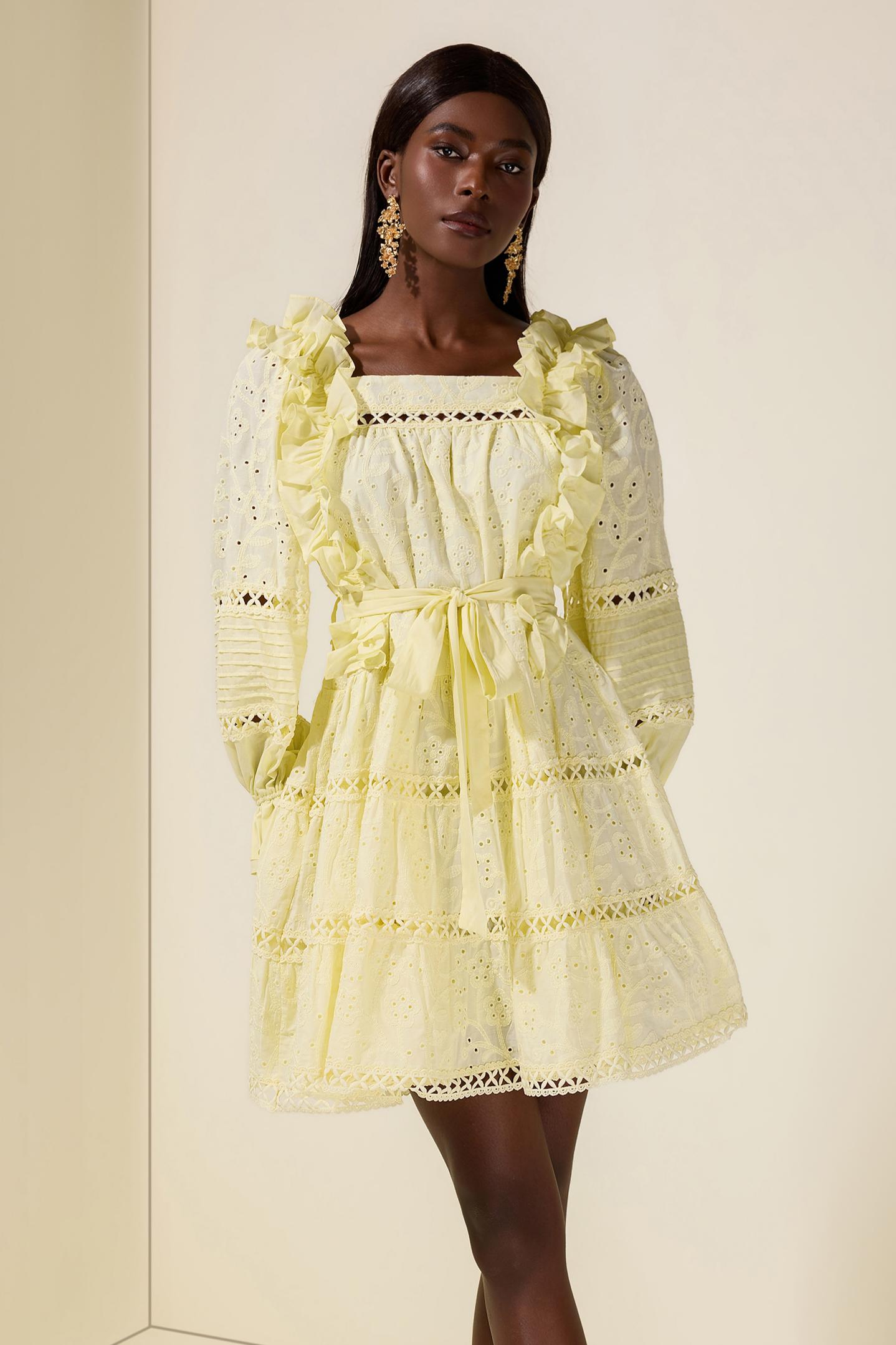 Solid Embroidered Ruffle Mini Dress