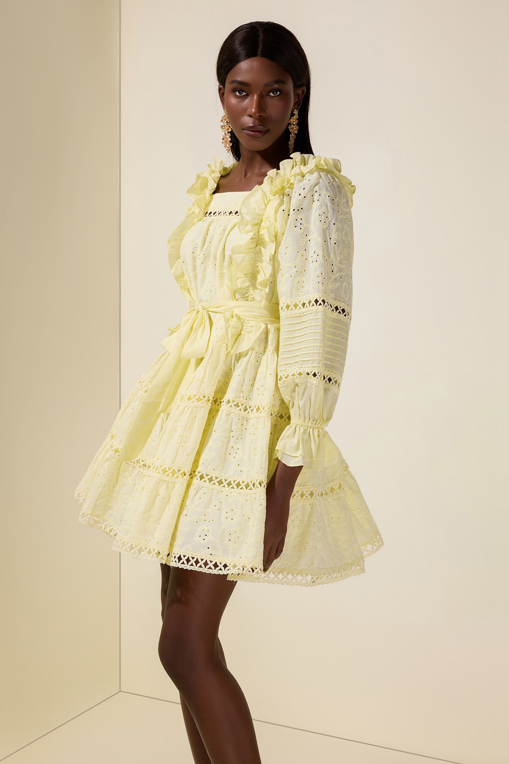 Solid Embroidered Ruffle Mini Dress