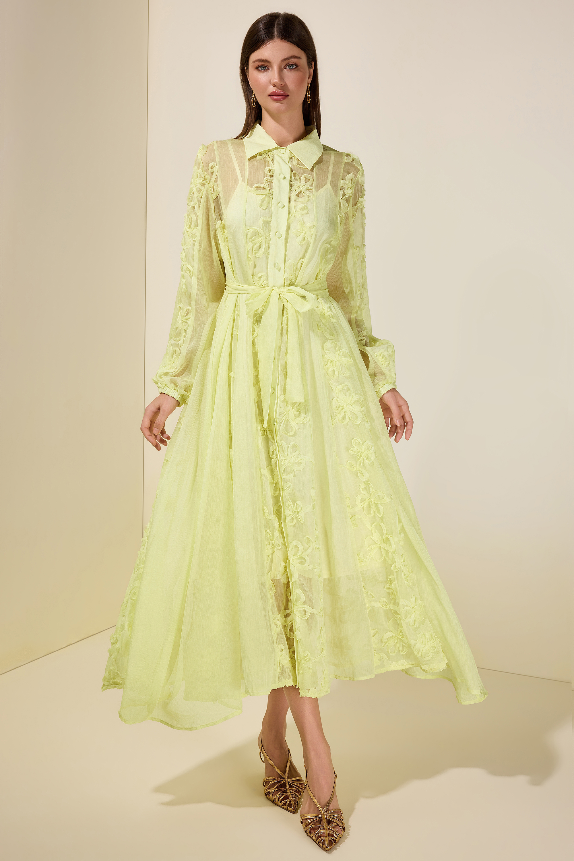 Jacquard Flapped Single-Breasted Midi Dress