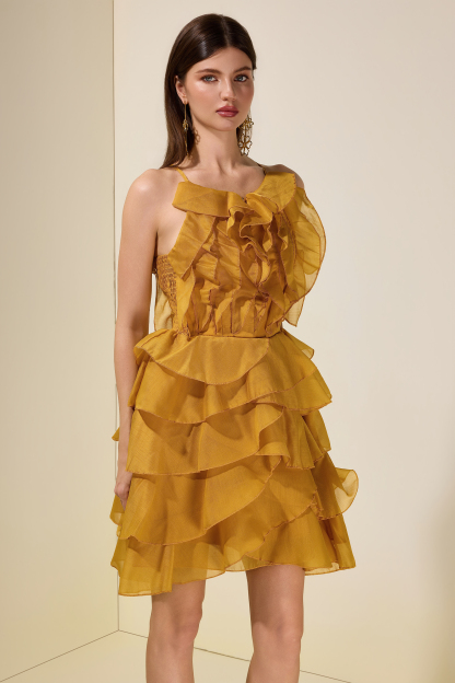 Chiffon Ruffle Beaded Mini Dress