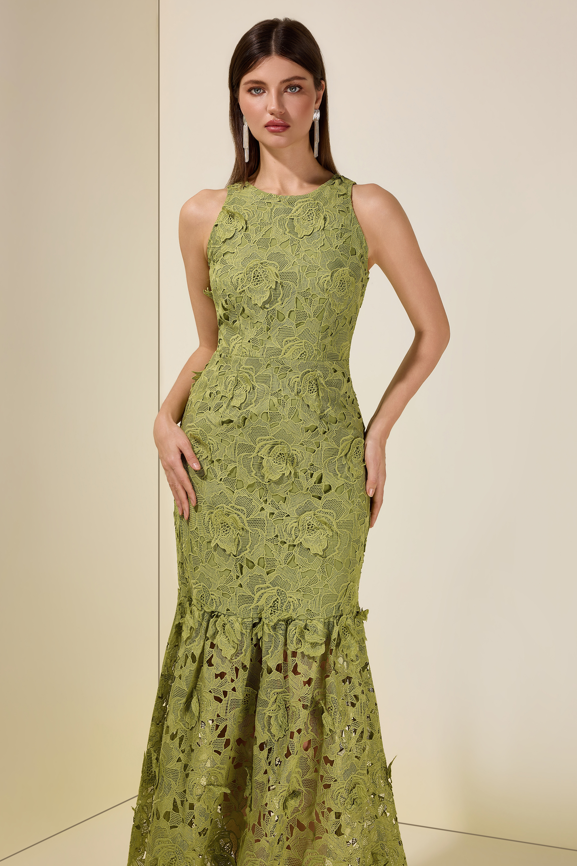 Lace Embroidered Sleeveless Midi Dress