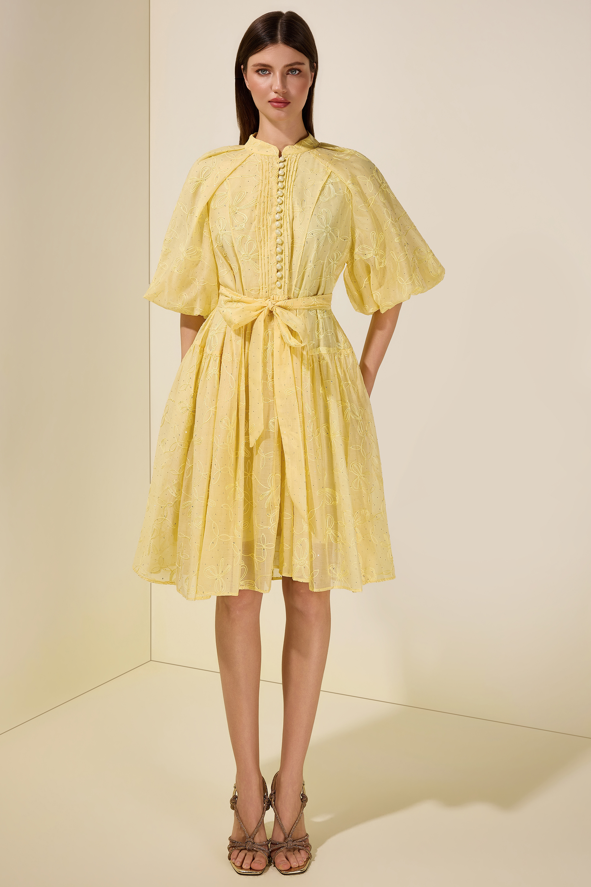 Embroidered Rhinestone Puff Sleeve Mini Dress