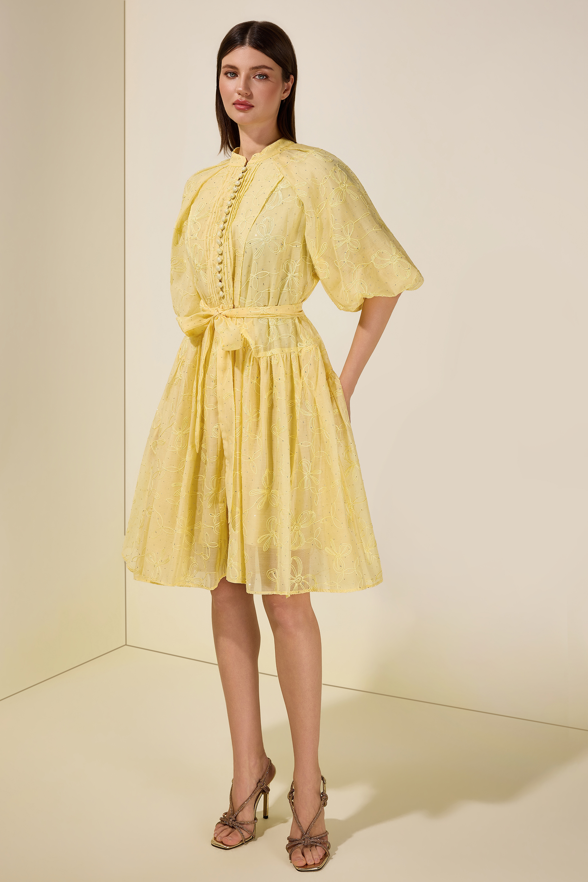 Embroidered Rhinestone Puff Sleeve Mini Dress