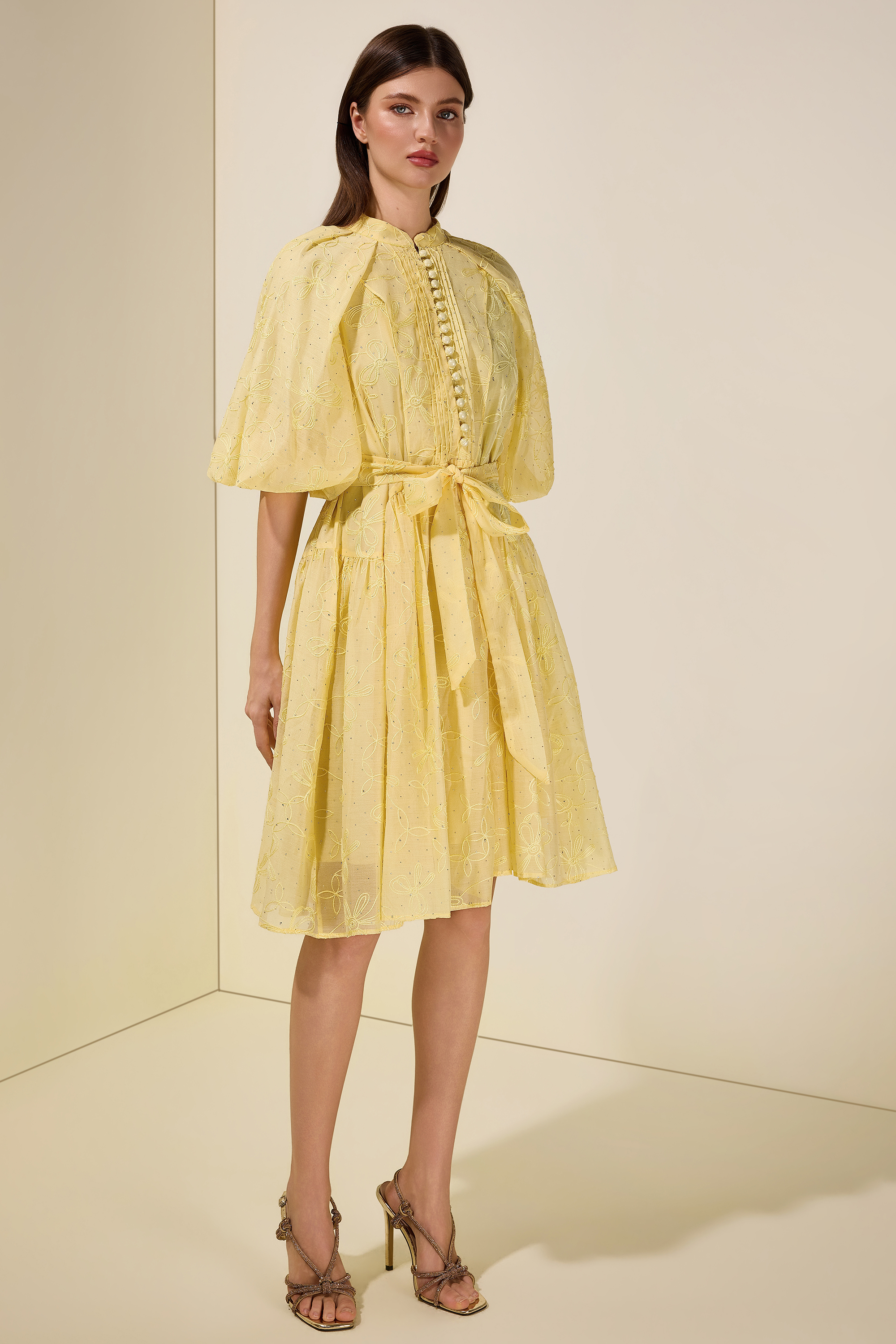 Embroidered Rhinestone Puff Sleeve Mini Dress