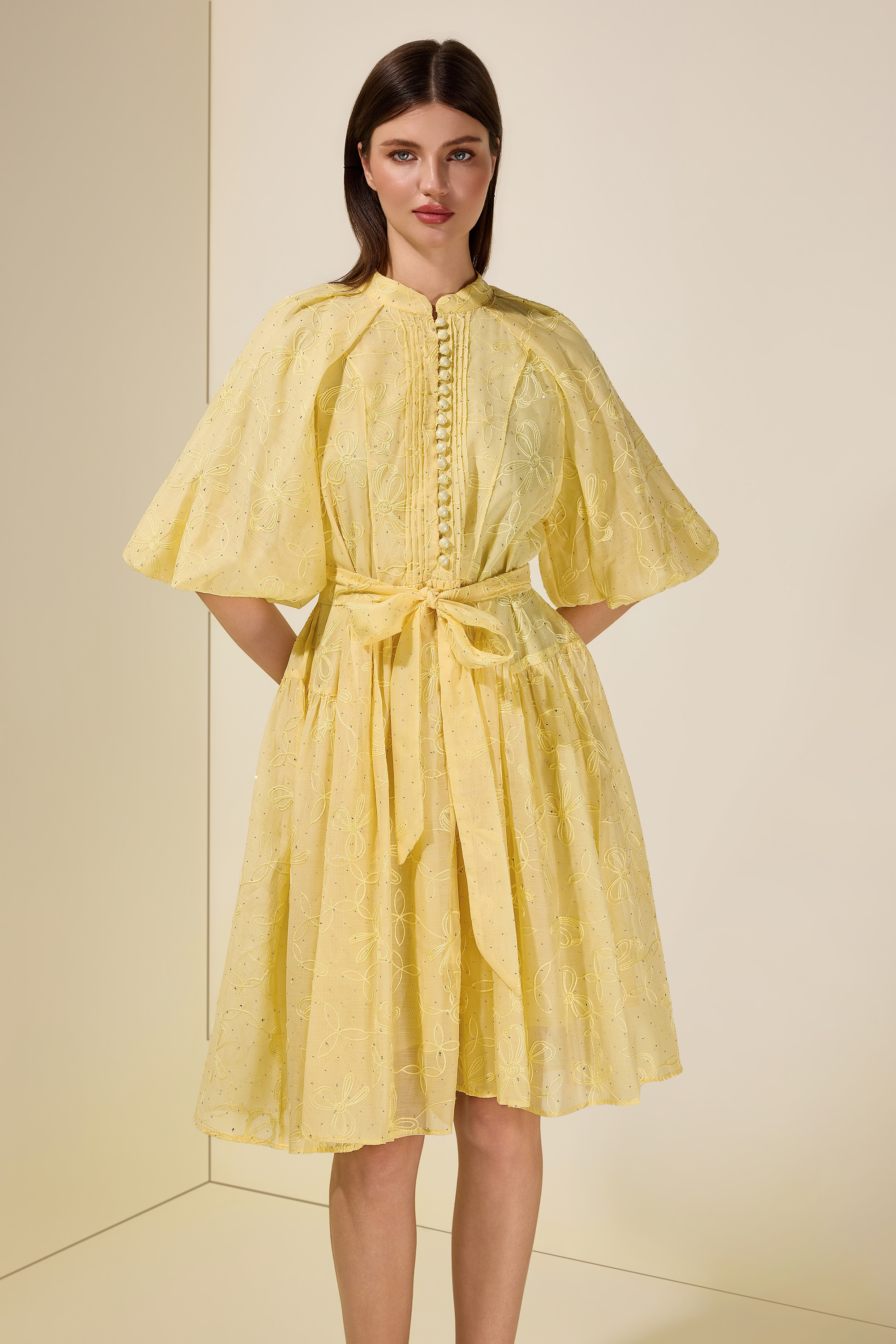 Embroidered Rhinestone Puff Sleeve Mini Dress