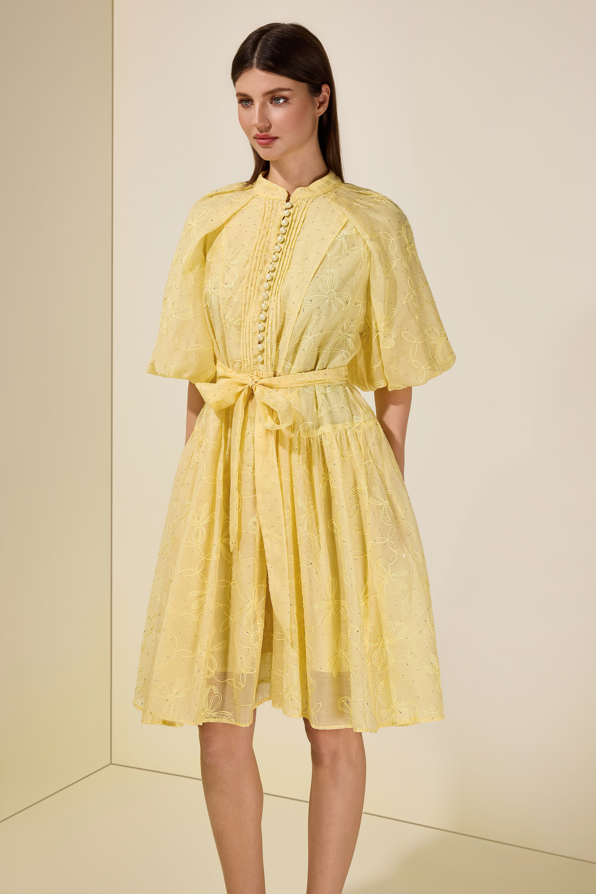 Embroidered Rhinestone Puff Sleeve Mini Dress