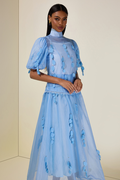 Organza Lace Beaded Top & High Waist Maxi Skirt Set
