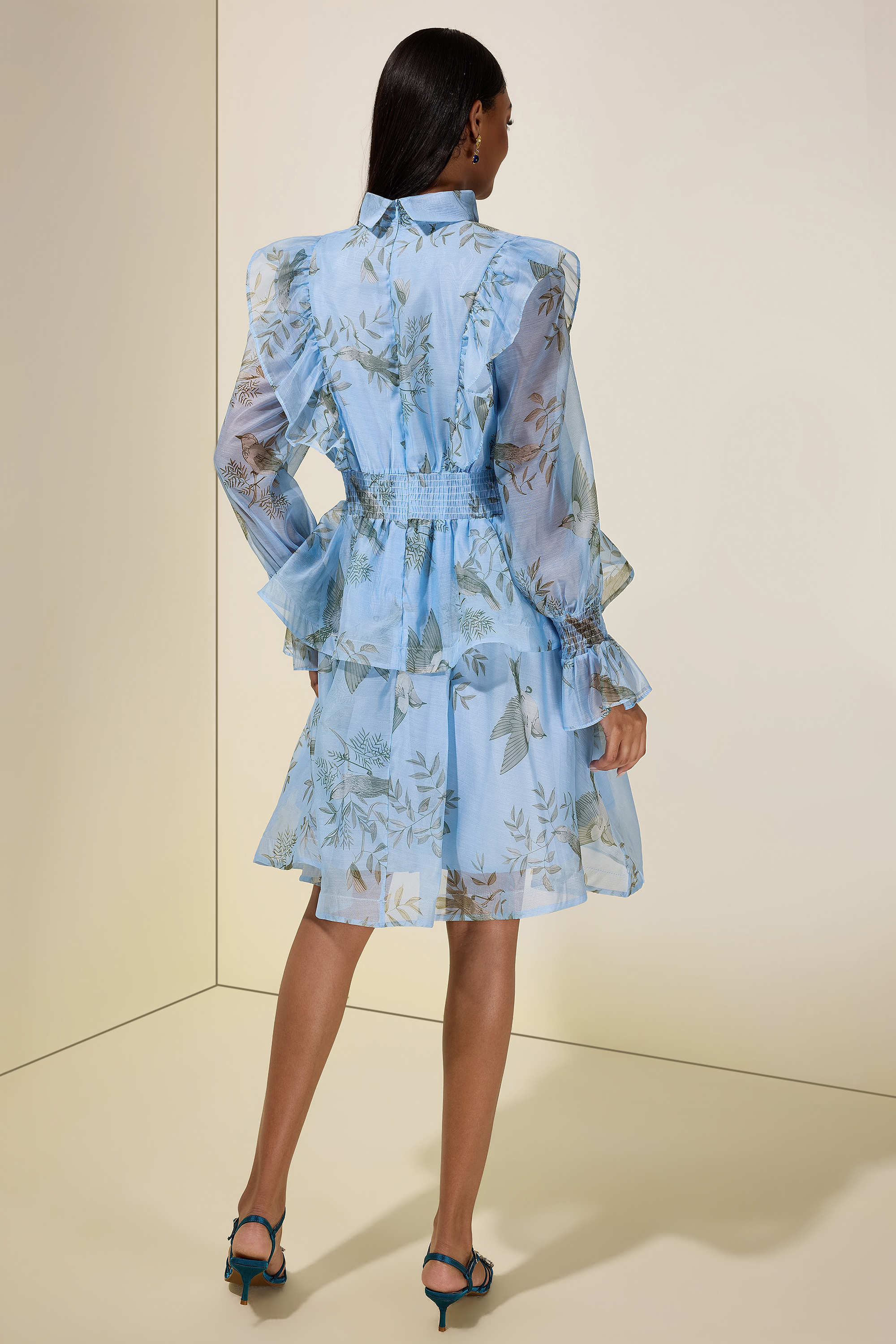 Bird Print Ruffle Lace-Up Mini Dress