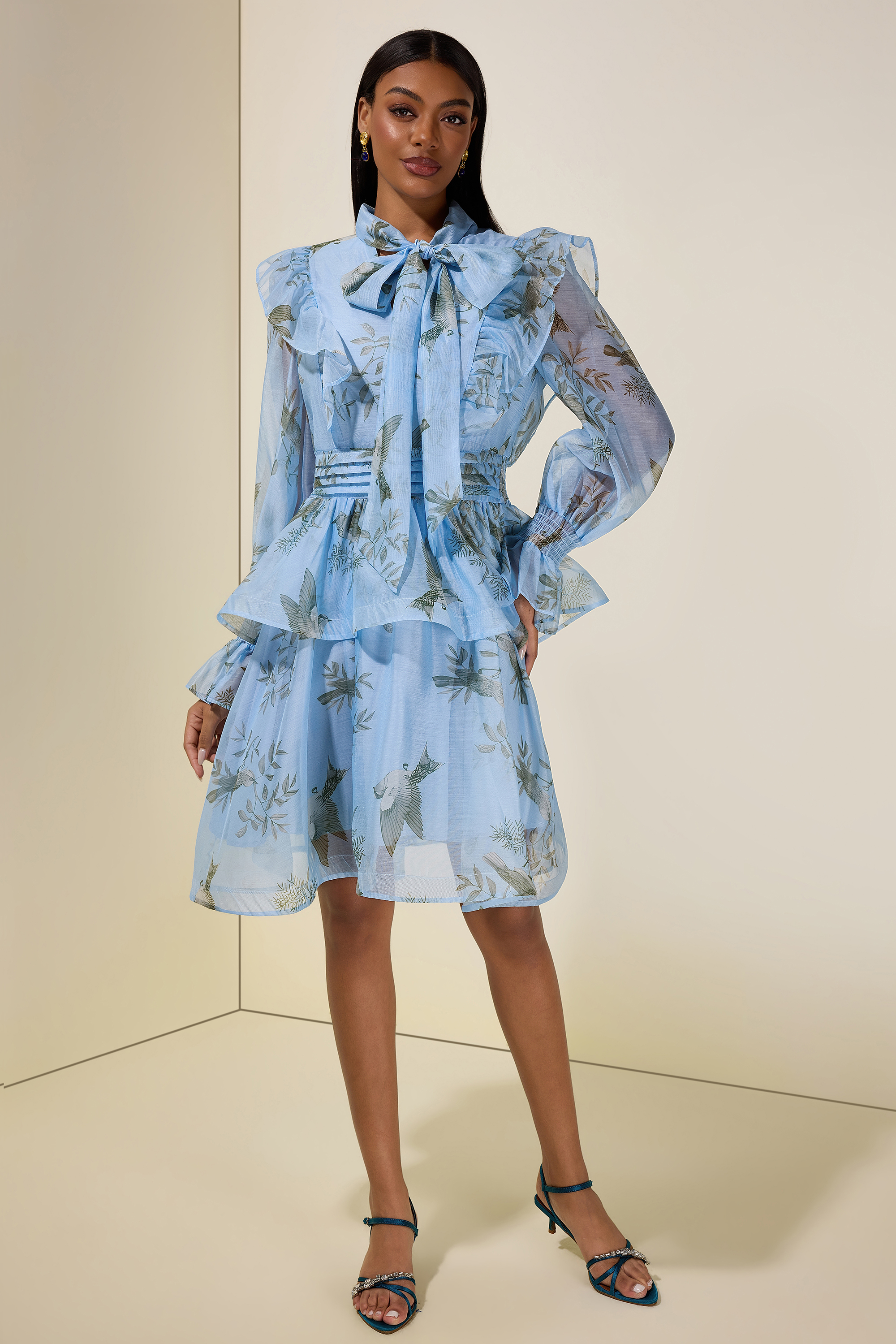 Bird Print Ruffle Lace-Up Mini Dress