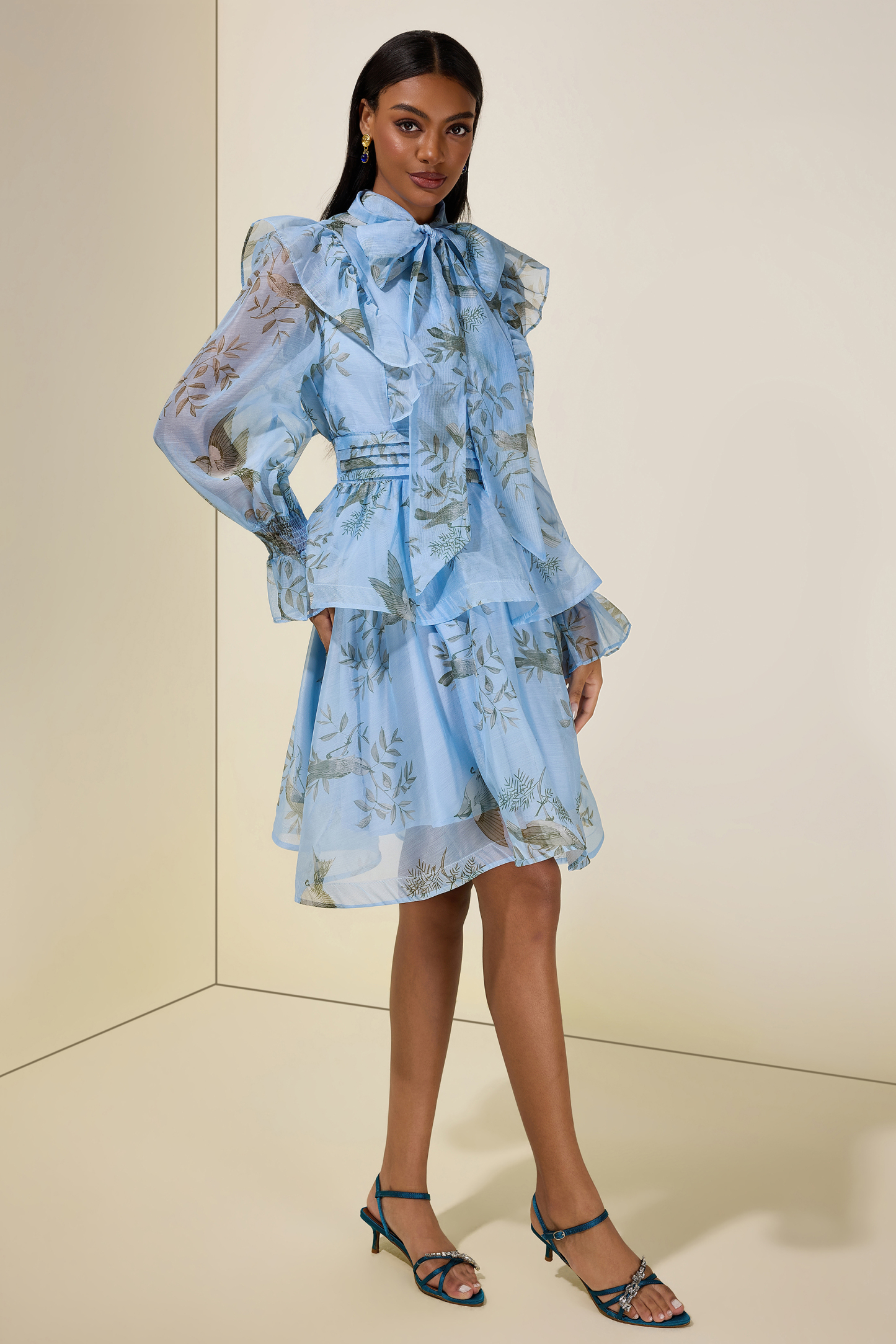Bird Print Ruffle Lace-Up Mini Dress