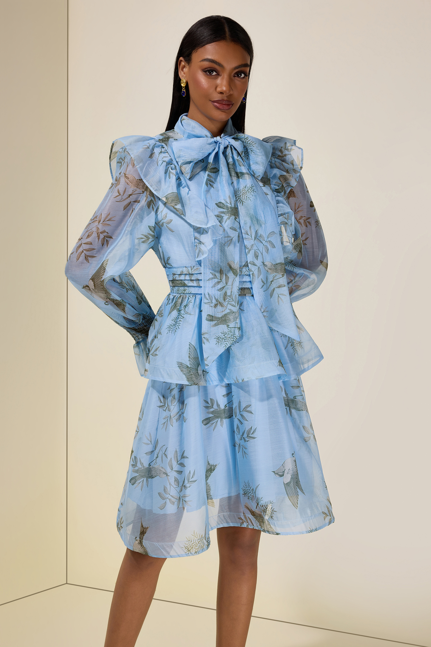 Bird Print Ruffle Lace-Up Mini Dress
