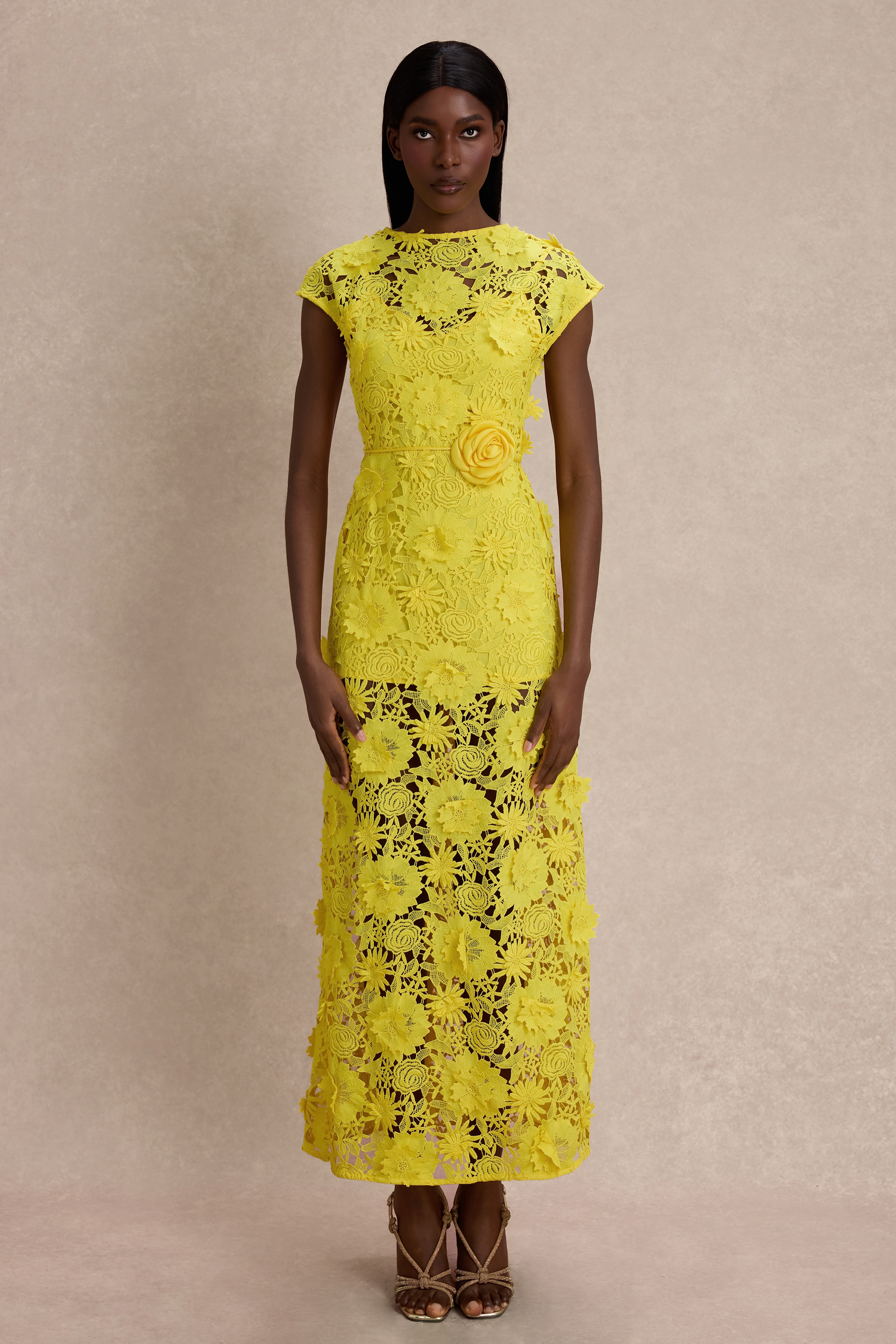 3D Flower Lace Round Neck Midi Dress – JardinVue