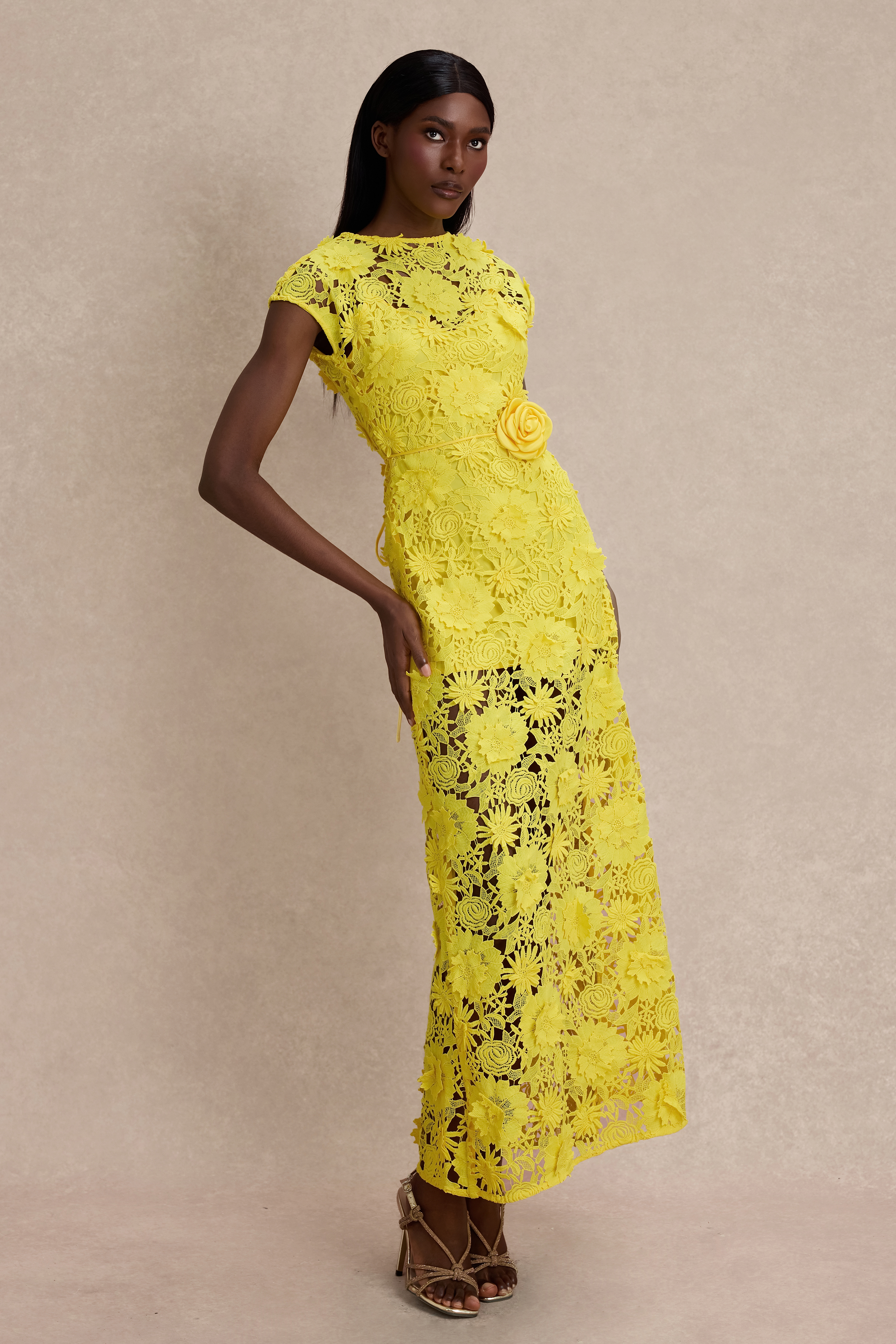 3D Flower Lace Round Neck Midi Dress – JardinVue