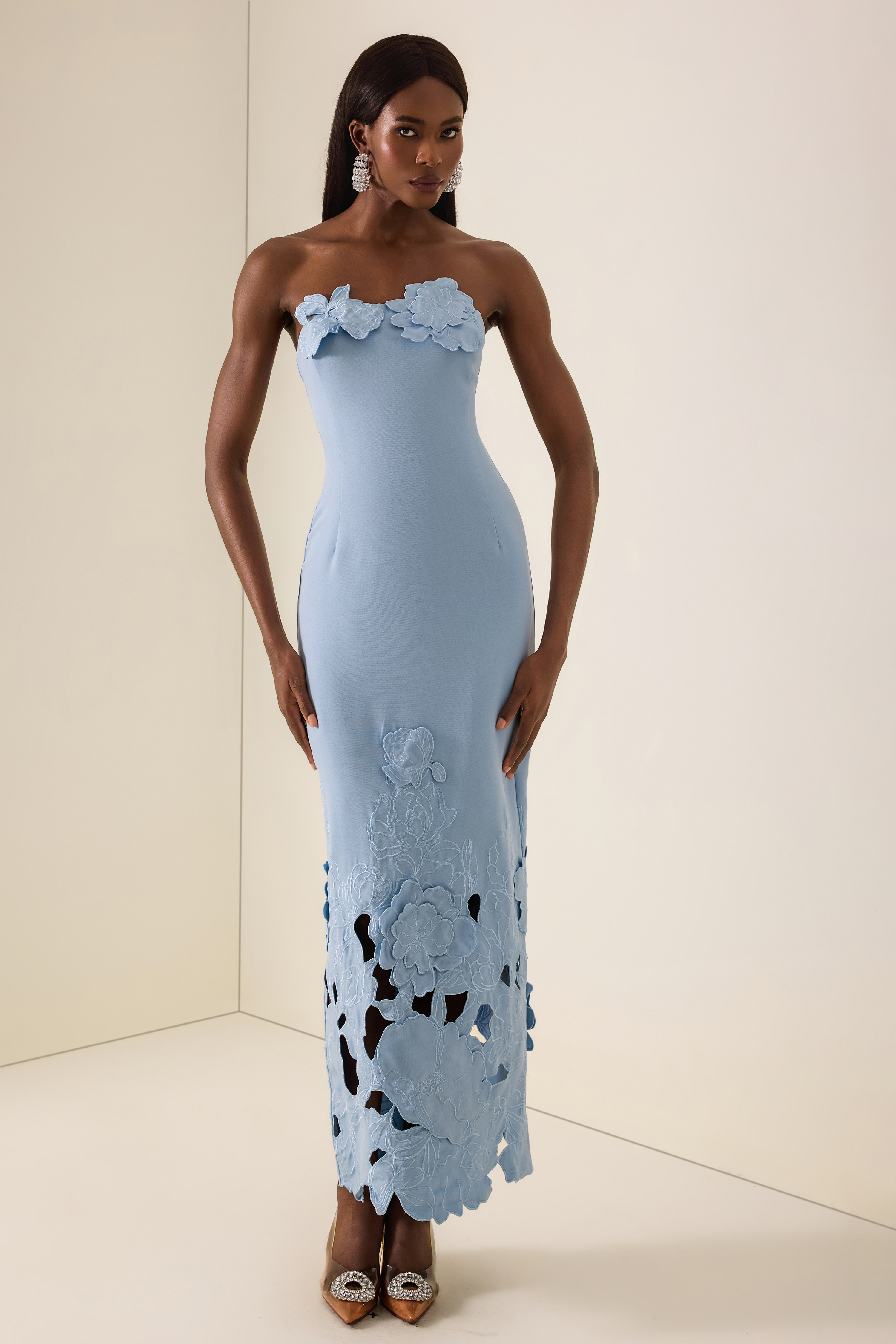 Off-Shoulder Floral Appliquéd Midi Dress