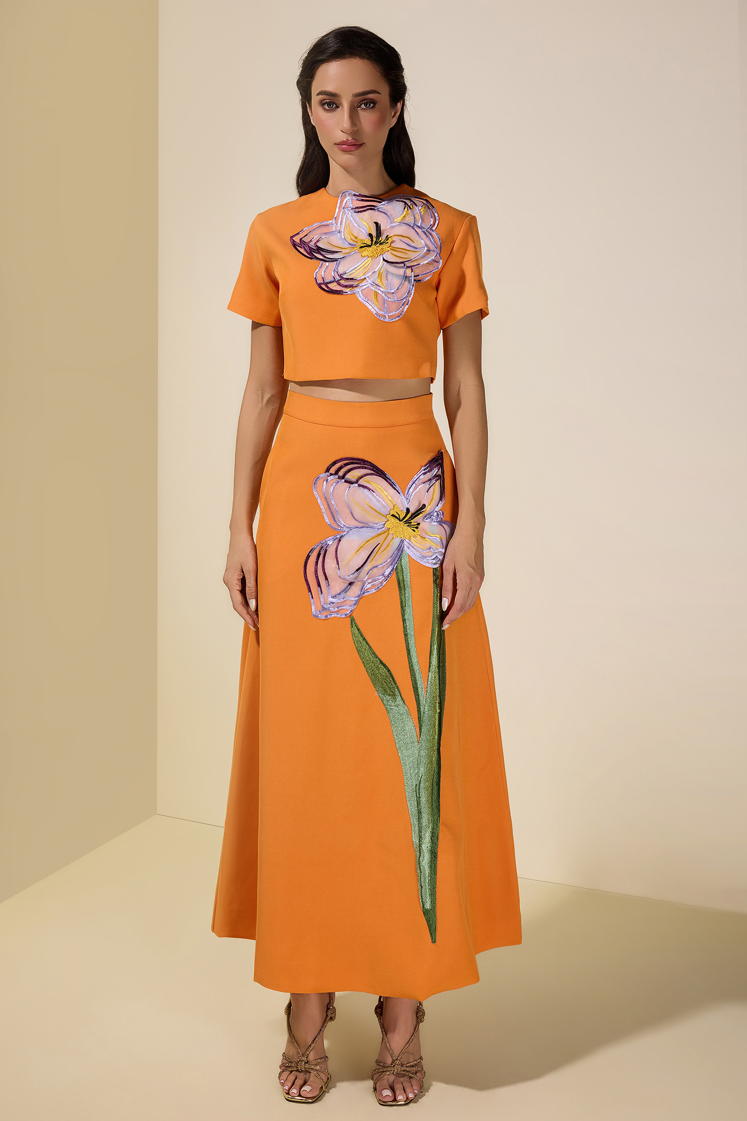 Appliquéd Round Neck Top & Maxi Skirt Set