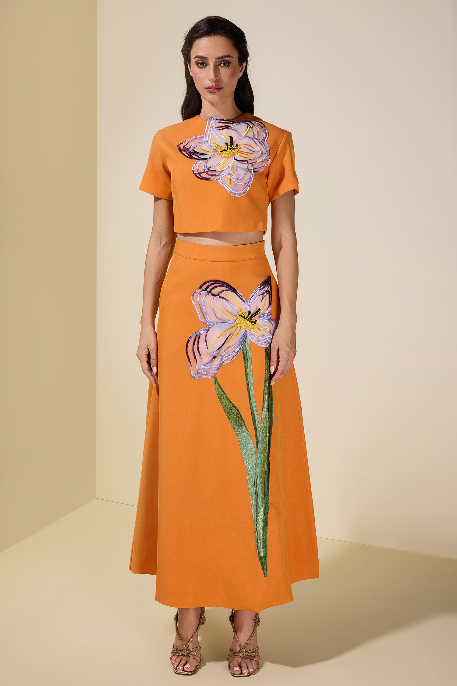 Appliquéd Round Neck Top & High Waist Skirt Set