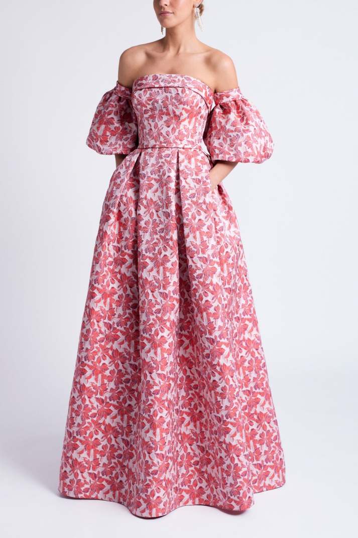 Printed Lantern Sleeve Maxi Dress – jardinvue