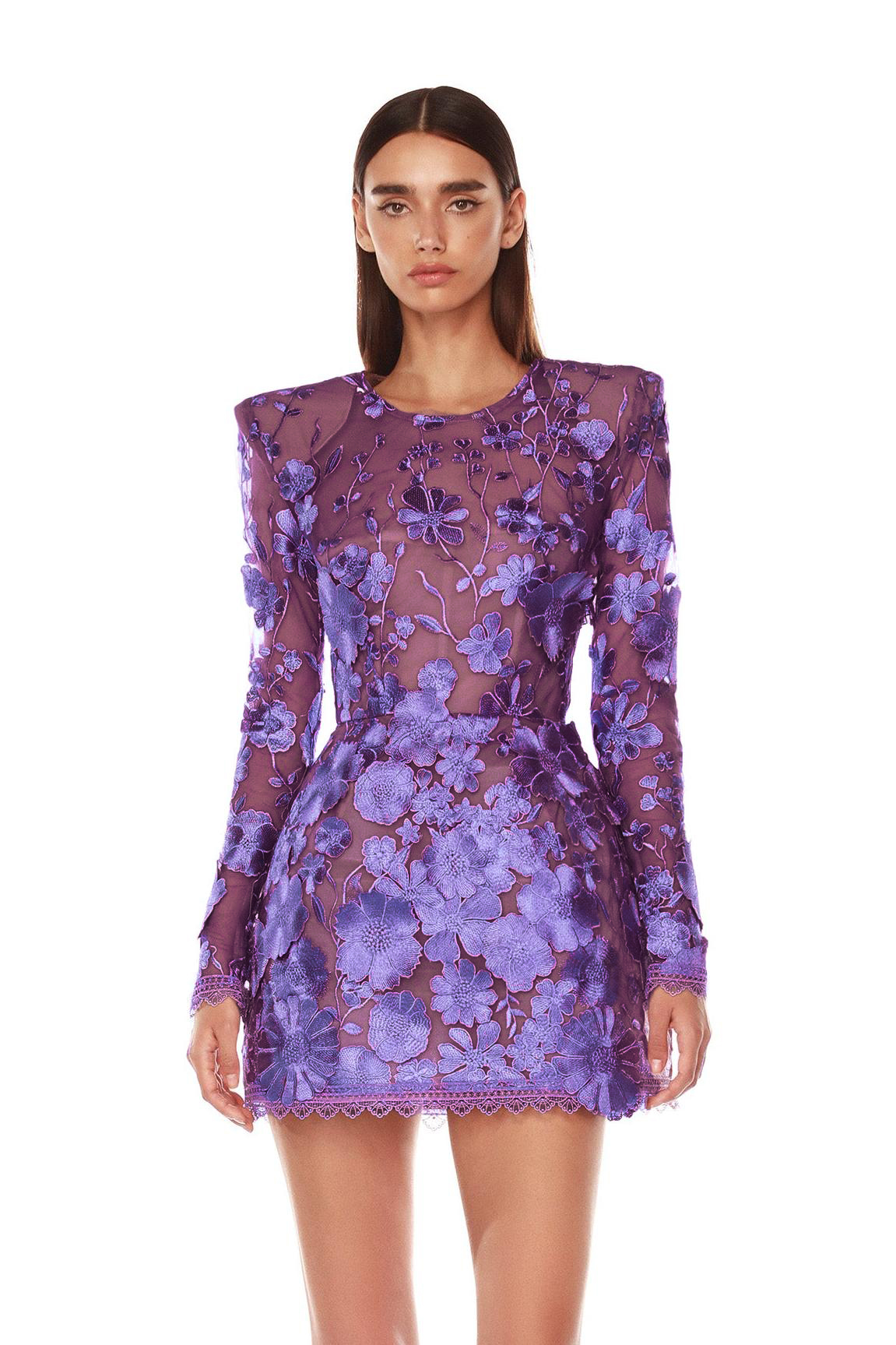 Embroidered Long Sleeve Round Neck Mini Dress