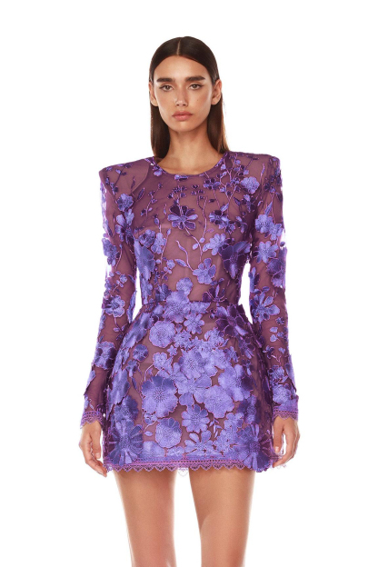 Embroidered Long Sleeve Round Neck Mini Dress