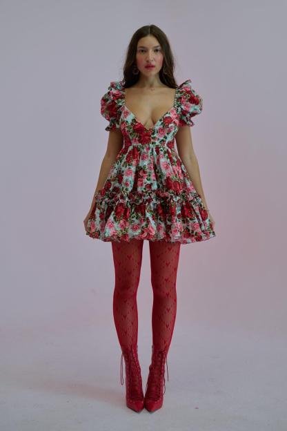 Floral Puff Sleeve V-Neck Mini Dress