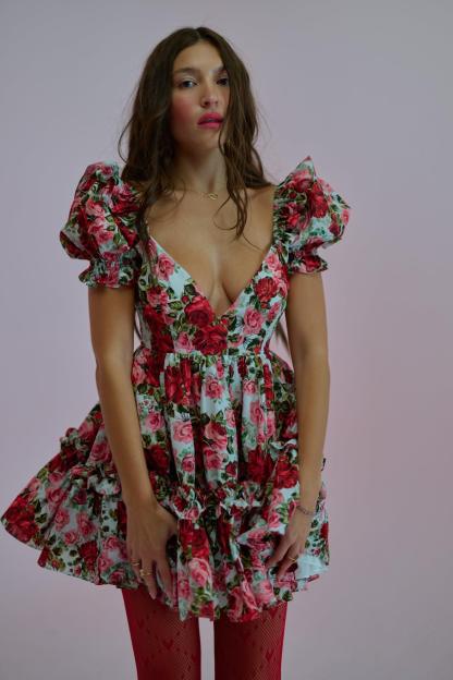 Floral Puff Sleeve V-Neck Mini Dress