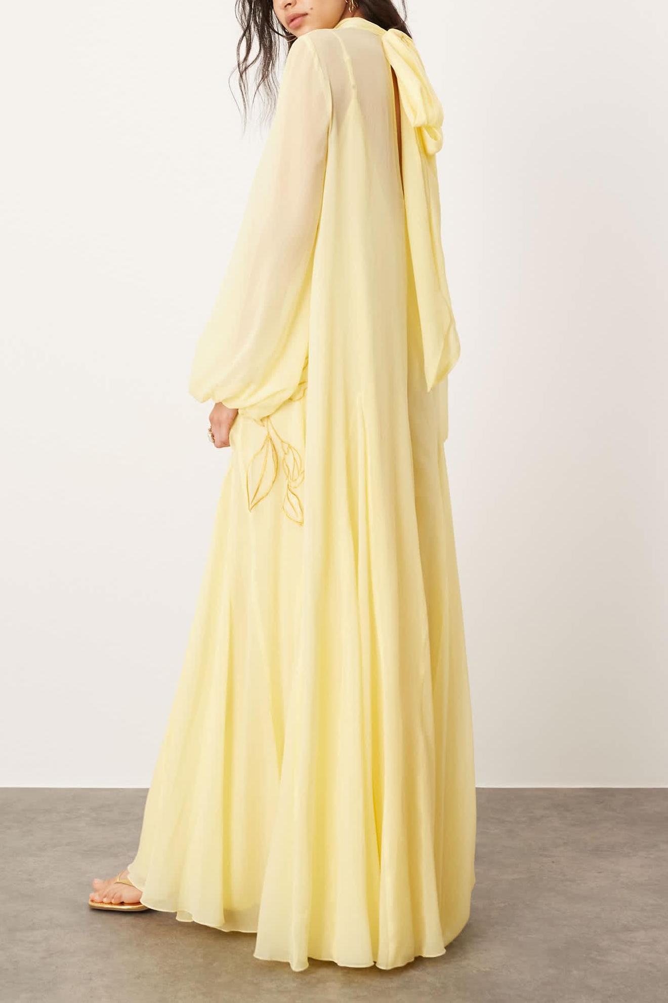 Embroidered Chiffon Lantern Sleeve Maxi Dress