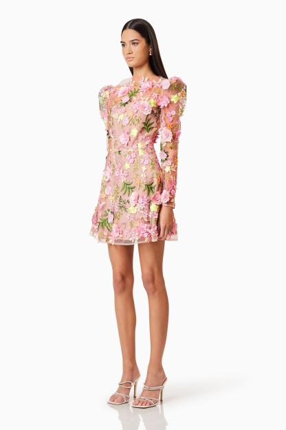 Embroidered Round Neck Long Sleeve Mini Dress