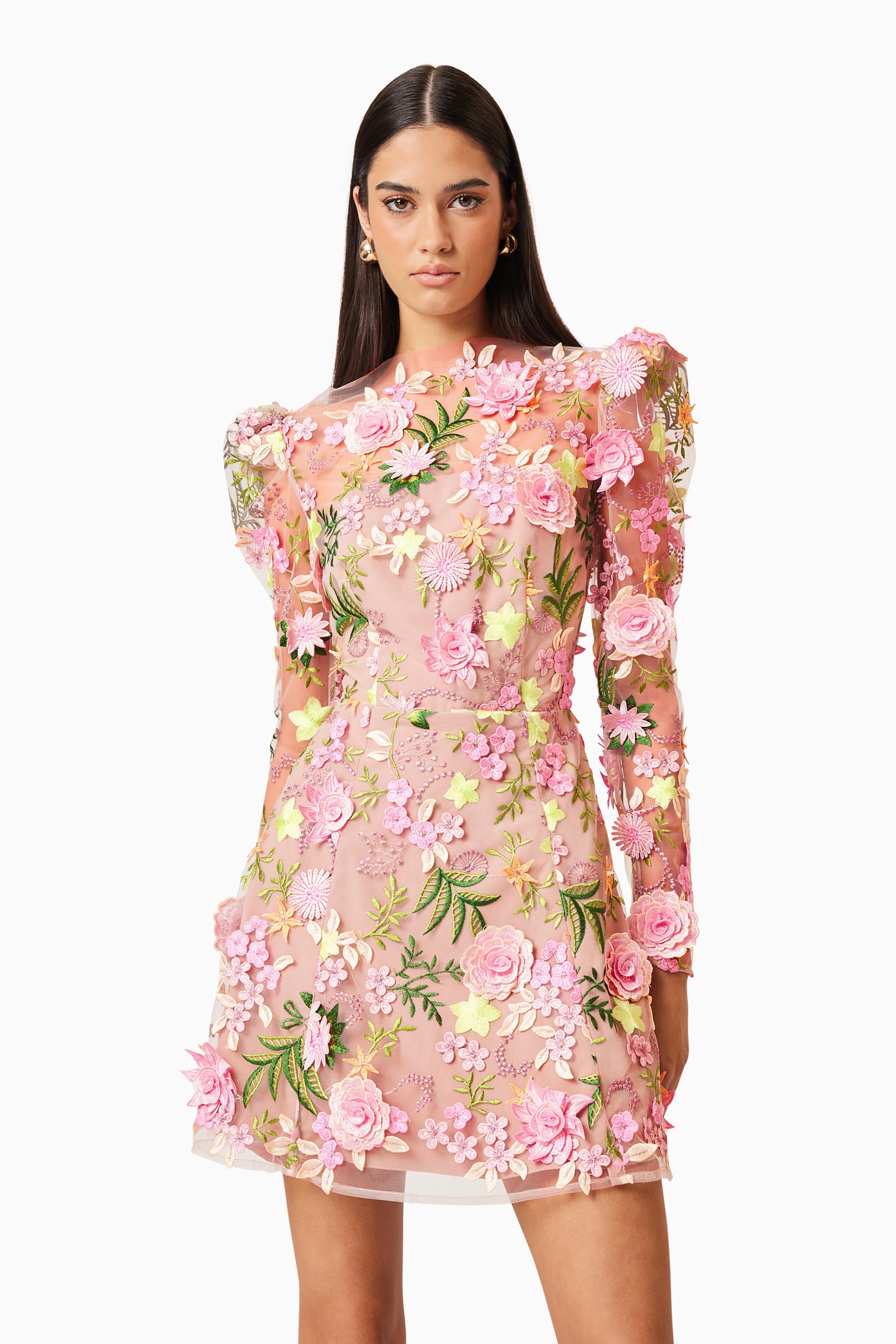 Embroidered Round Neck Long Sleeve Mini Dress