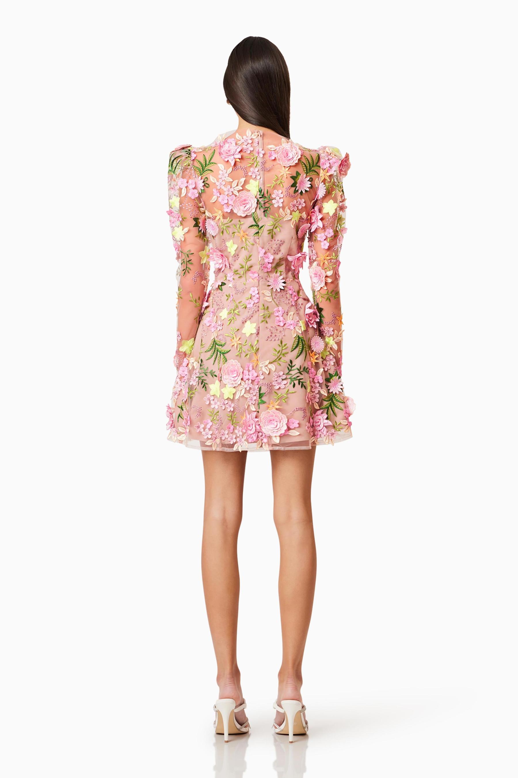 Embroidered Round Neck Long Sleeve Mini Dress