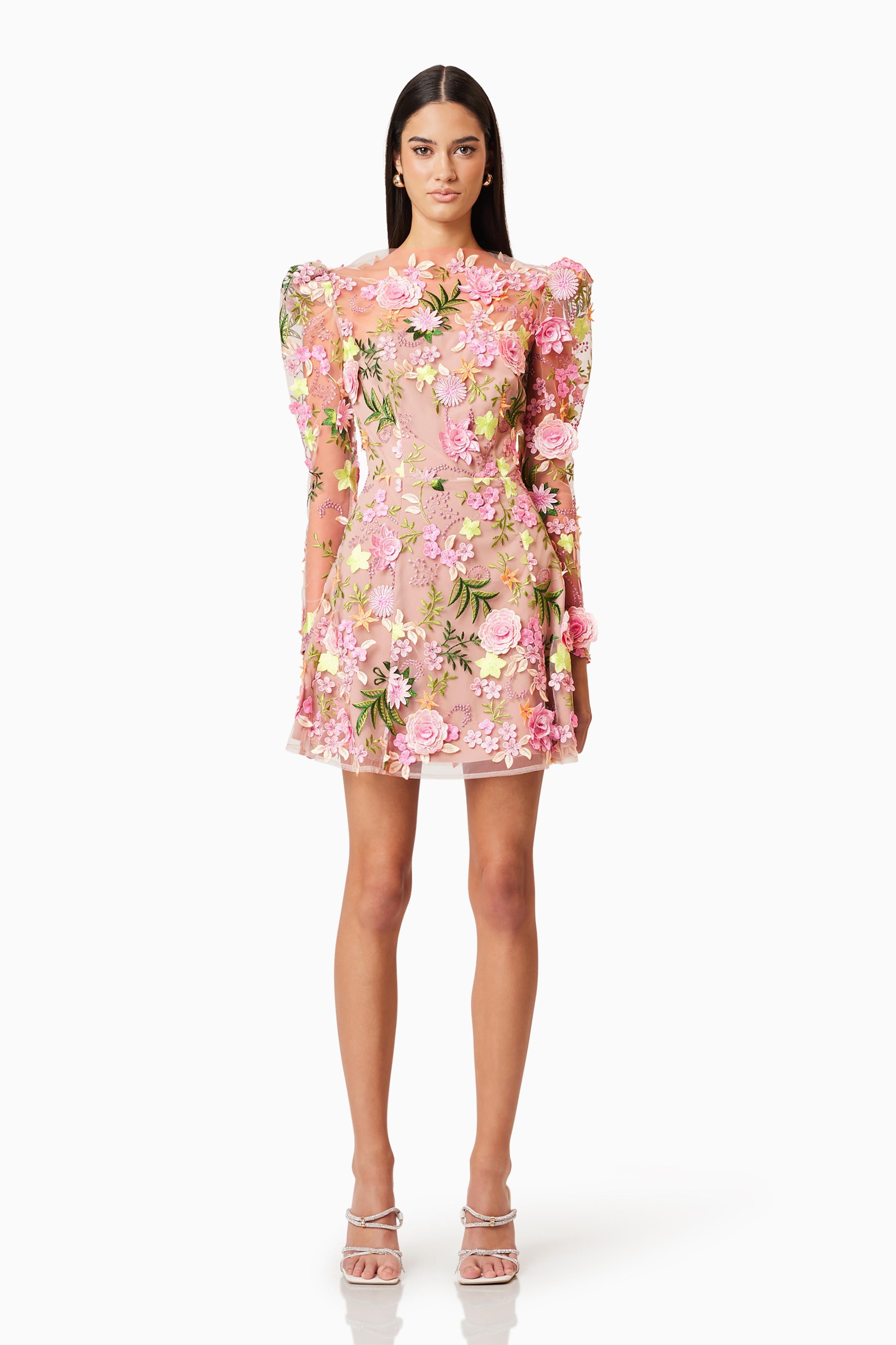 Embroidered Round Neck Long Sleeve Mini Dress