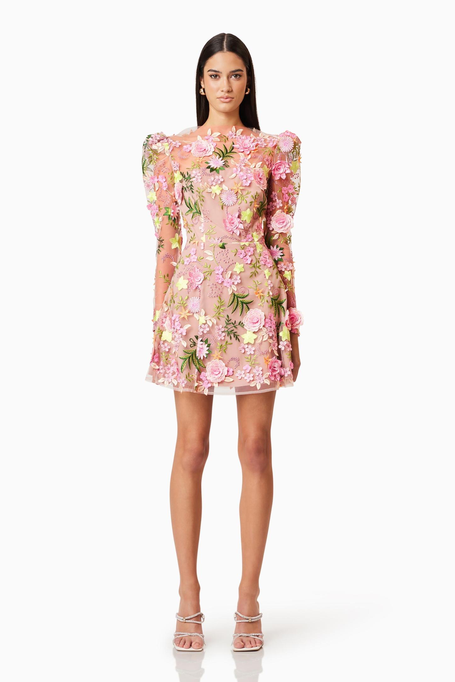 Embroidered Round Neck Long Sleeve Mini Dress