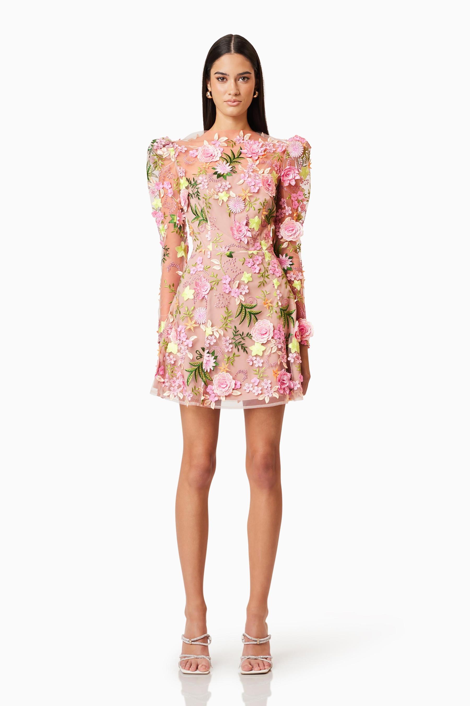 Embroidered Round Neck Long Sleeve Mini Dress