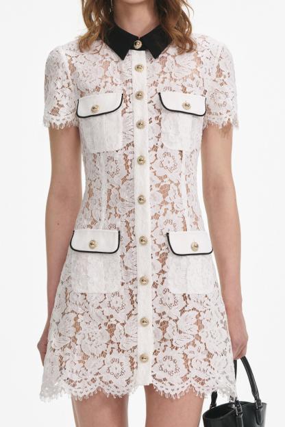 Lace Shirt Collar Single Breasted Mini Dress