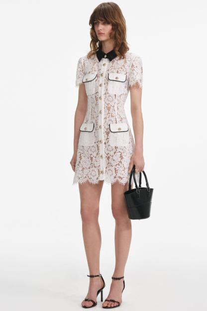 Lace Shirt Collar Single Breasted Mini Dress