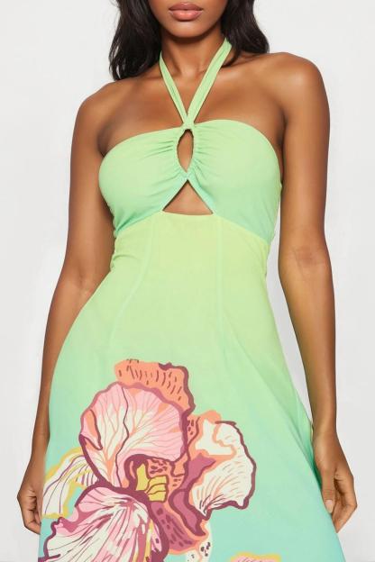 Floral Ombre Halter Neck Maxi Dress