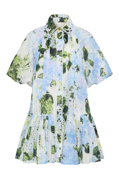 Floral Raglan Sleeve Pleated Mini Dress
