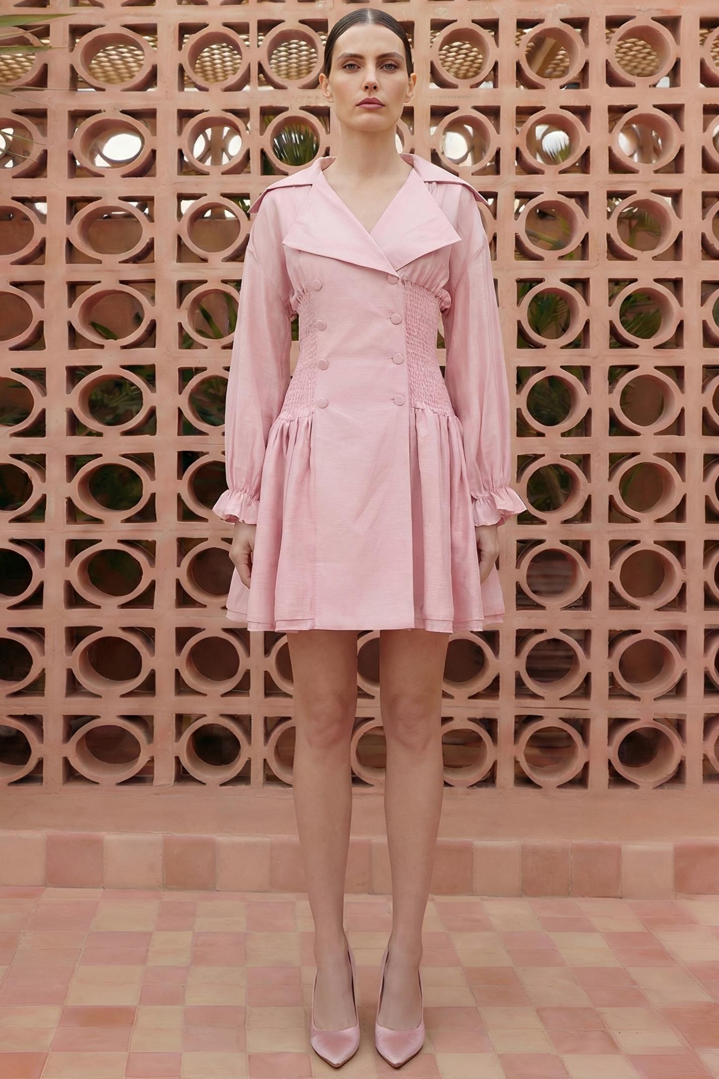 Solid Smocking Long Sleeve Mini Dress