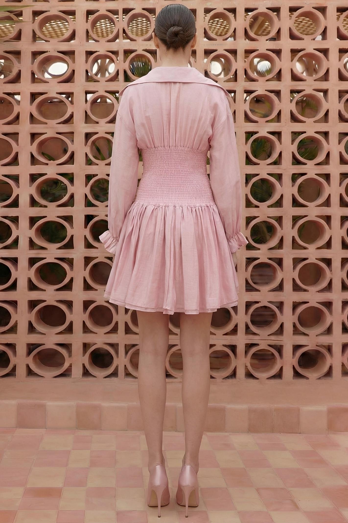 Solid Smocking Long Sleeve Mini Dress