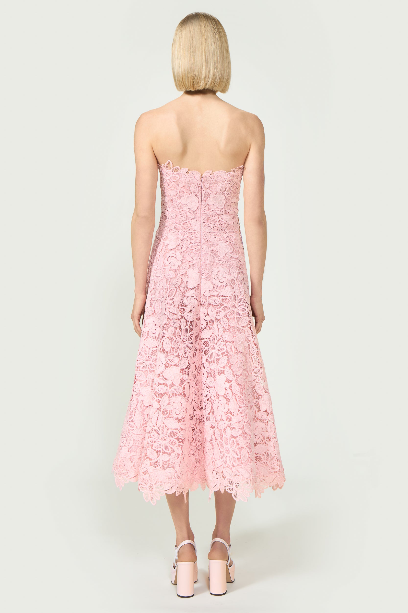 Embroidered Lace Strapless Midi Dress